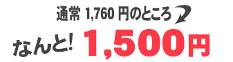 通常1,760円が2月28日まで1,500円